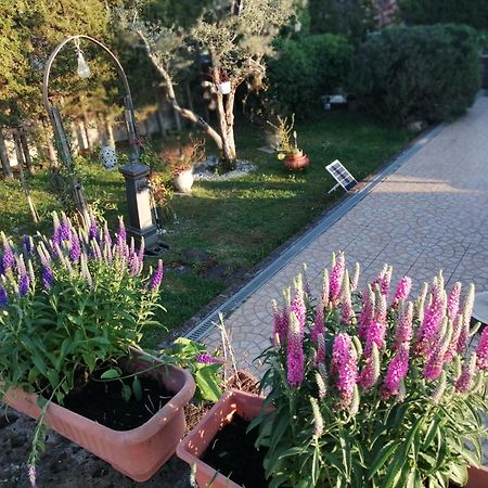 B&B Villa Milena Ariano Irpino Exterior photo